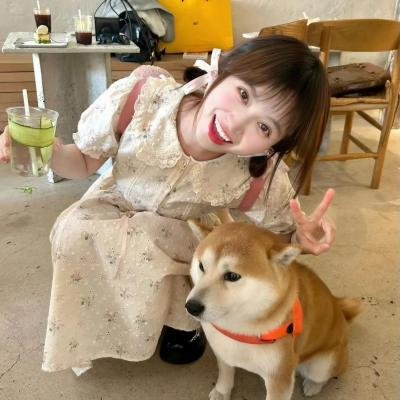 不求上进的玉子
