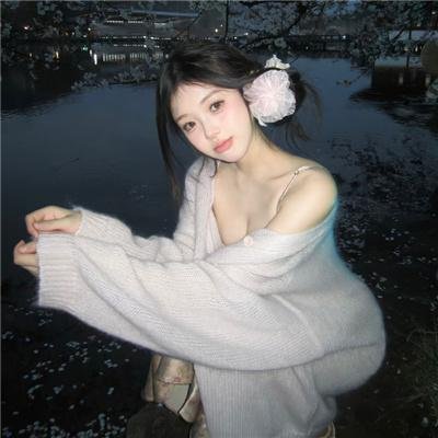 飞燕惊鸿