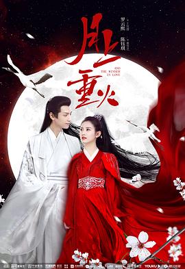 女婿难当 封面图